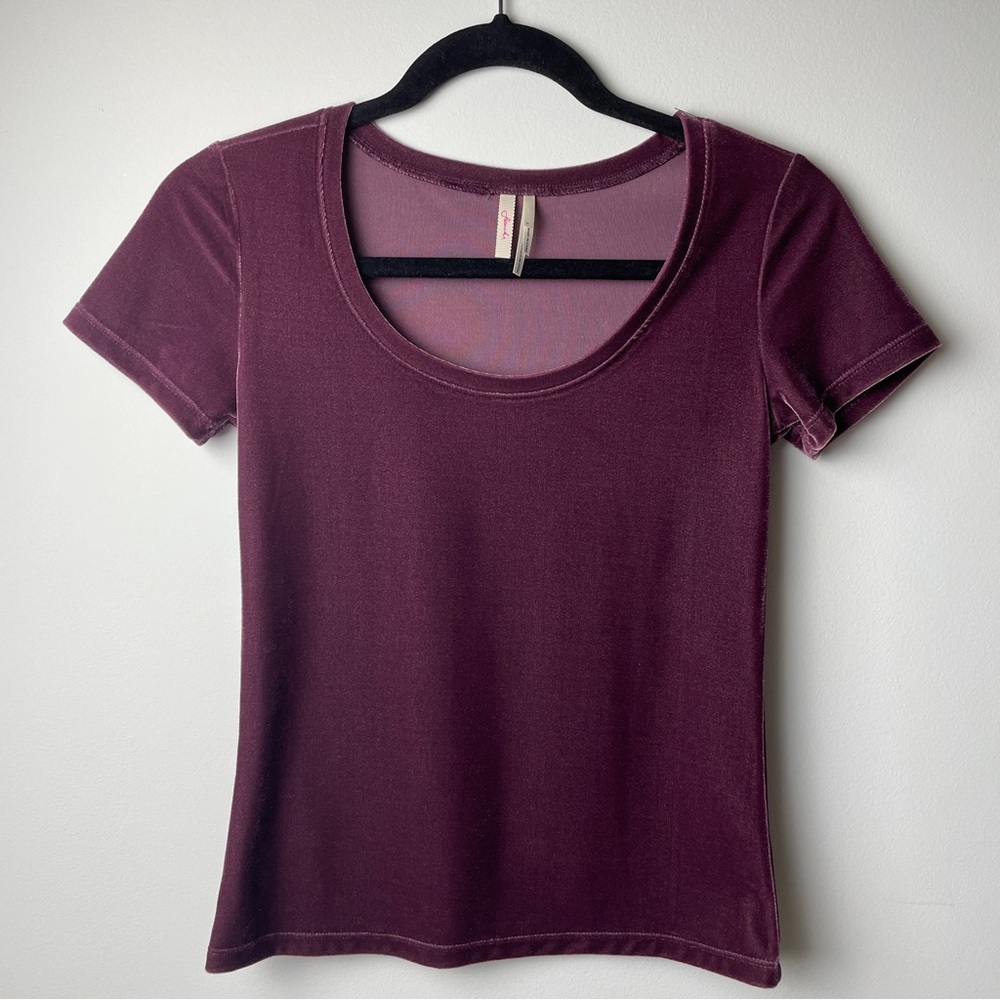 Frenchi Purple Velvet Top